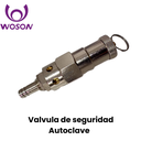 Valvula de seguridad Autoclave  (Woson)