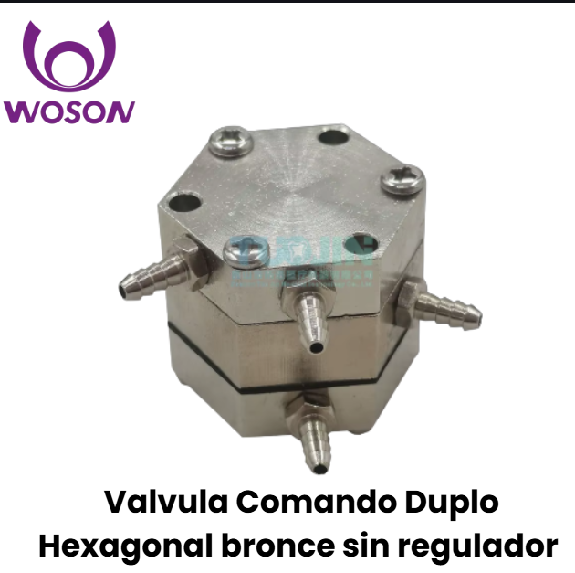 Valvula de comando duplo hexagonal inox con valvula anti retracción (Woson)