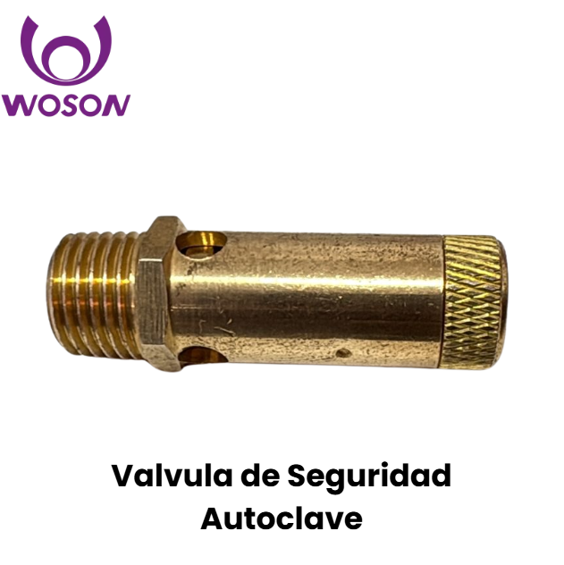 Valvula de Seguridad Autoclave (Woson)